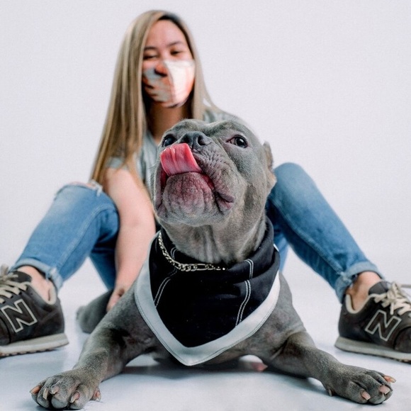 Single Fold Bandana - Picture 7 of 10